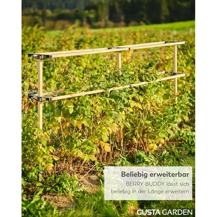 Gusta Garden BERRY BUDDY, erweiterbares Rankgitter aus Holz, 360cm, flexible Rankhilfe für Himbeeren, Brombeeren, Heidelbeeren – Bild 6
