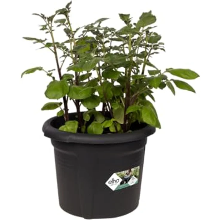 elho Green Basics Kartoffeltopf 33 - Blumentopf für Außen Züchten Und Ernten - 100% recyceltem Plastik - Ø 32.3 x H 25.7 cm - Schwarz/Living Schwarz – Bild 3