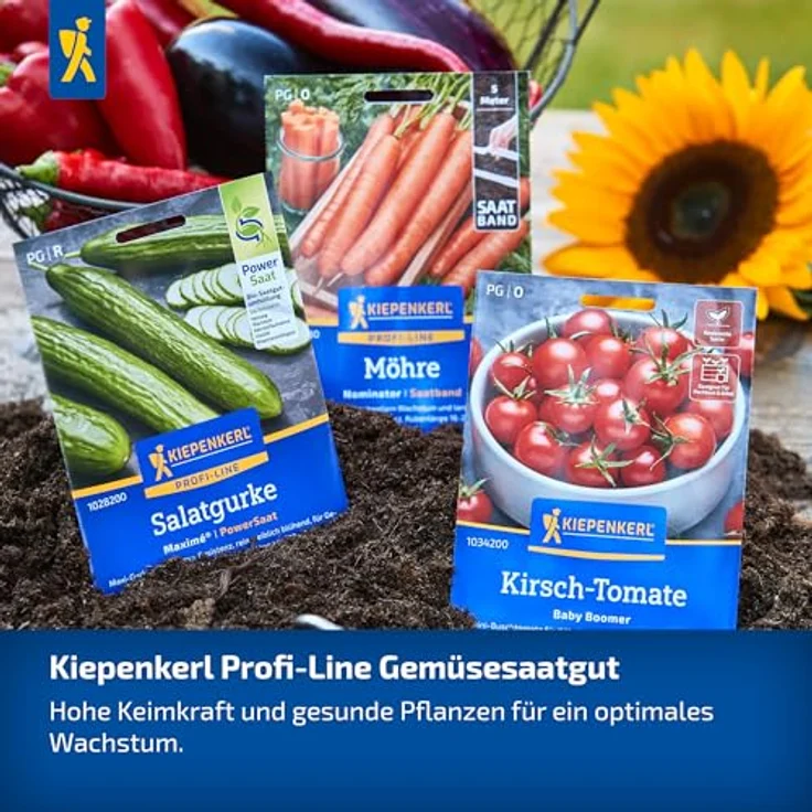 Kiepenkerl Profi-Line Obstsamen Erdbeere Elan, F1, immertragend mit aromatischen, roten Früchten, geeignet für Ampeln und Töpfe, Erntezeit: Mai – Bild 3