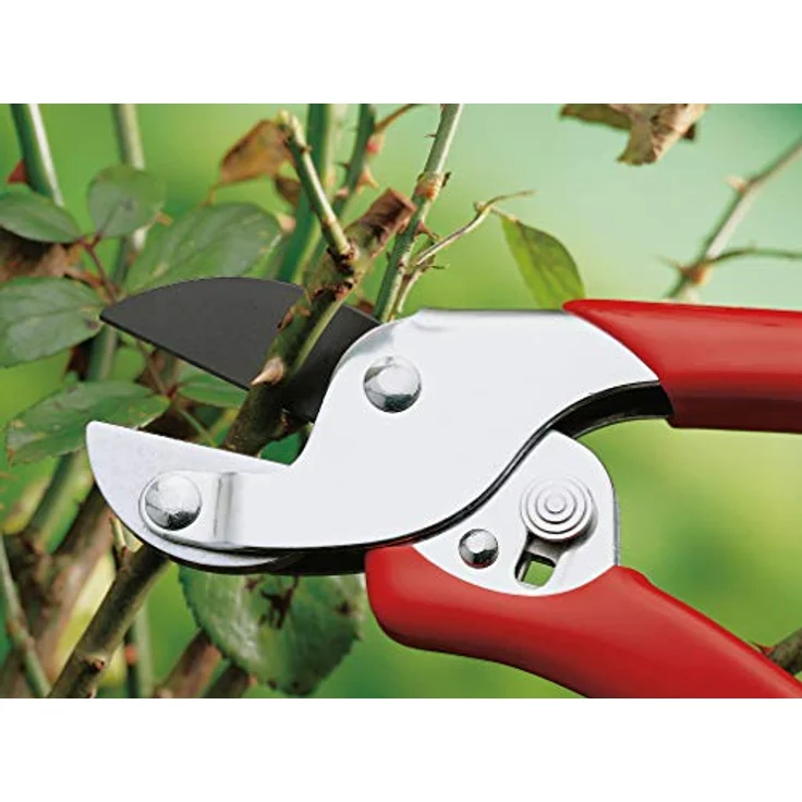 WOLF-Garten - Amboss-Gartenschere Aktion RS-EN, 7210060, Basic mittelgroß – Bild 5
