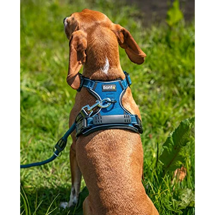lionto Hundegeschirr gepolstert, Größe S, reflektierend, Anti Zug, blau – Bild 3