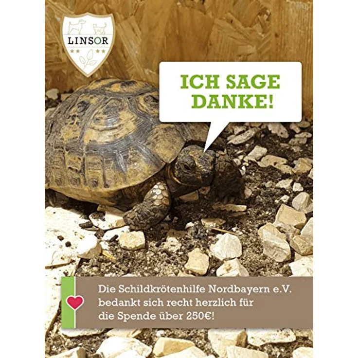 Linsor Schildkröten Blumenmischung, 50 g Saatgut für 17–50 m² fressbare Wildblumen für Landschildkröten – Bild 5