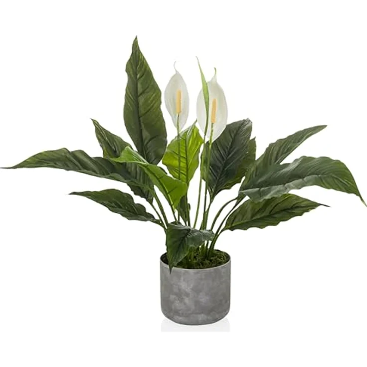 hjh OFFICE Kunstpflanze Spathiphyllum 1 – 60 cm, pflegeleicht und geruchslos mit weißen Blüten, Kunststoff-Topf in Steinoptik – Bild 1