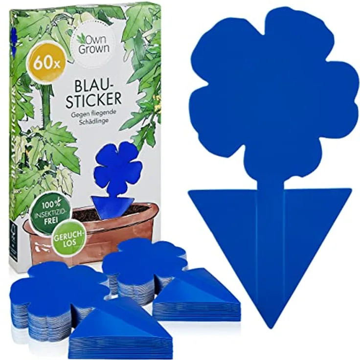 Gelbsticker Trauermücken 60x Insektizidfreie Klebefalle Für Die Zimmerpflanzen: Blausticker