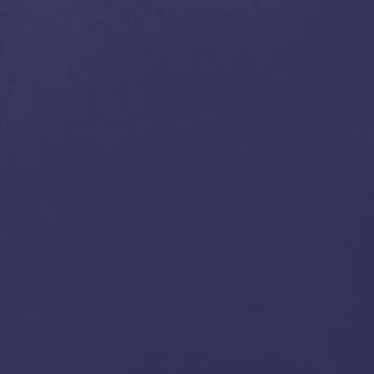 vidaXL Bewässerungssystem Wassertank faltbar, 250 L PVC mit Wasserhahn, blau, ideal für Gartenbewässerung und Outdoor-Aktivitäten – Bild 8