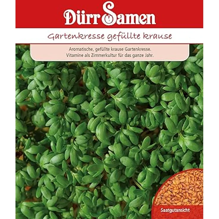 DÜRR-SAMEN Dürr-samen - Gartenkresse gefüllte krause Kressesamen 