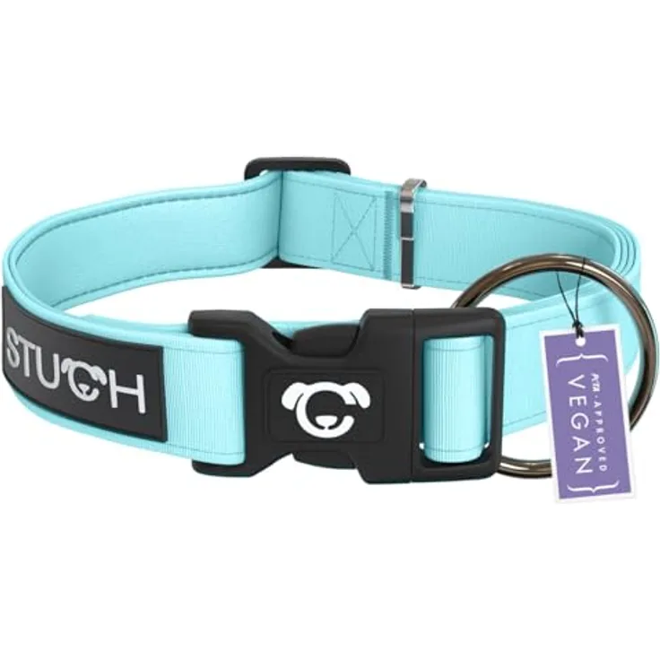 STUCH Hundehalsband - verstellbares und gepolstertes Nylon Hunde Halsband in Türkis, für kleine, mittlere und große Hunde, Größe S (1,5cm x 28-45cm)