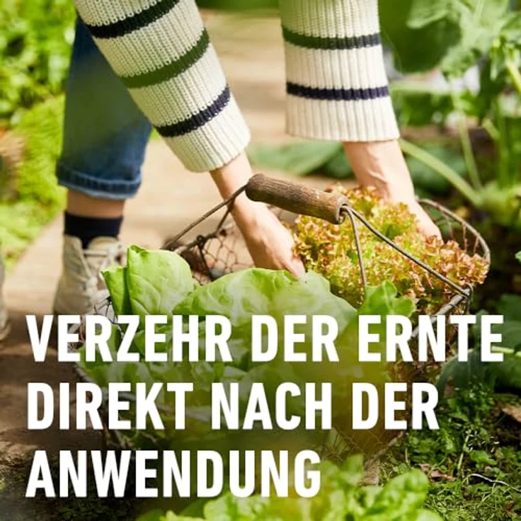 COMPO® Schneckenkorn, 1,1 kg – Bild 8