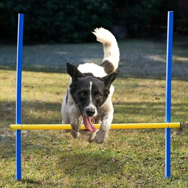Beach & Pool Agility Set für individuelles Hundetraining, Hürden und Slalomstangen mit massiven Erdnägeln, Hundesport – Bild 5