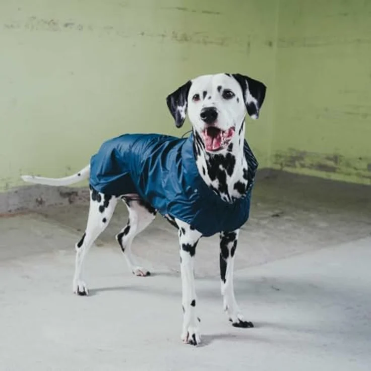 HUNTER Hunde-Regenmantel Milford, wind- und wasserdicht, 35, blau – Bild 2