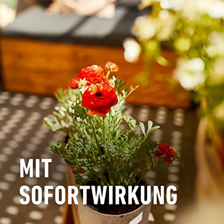 COMPO Balkon- und Kbelpflanzendnger, Langzeit-Dnger mit Sofortwirkung,  1,2 kg: Tests, Infos & Preisvergleich