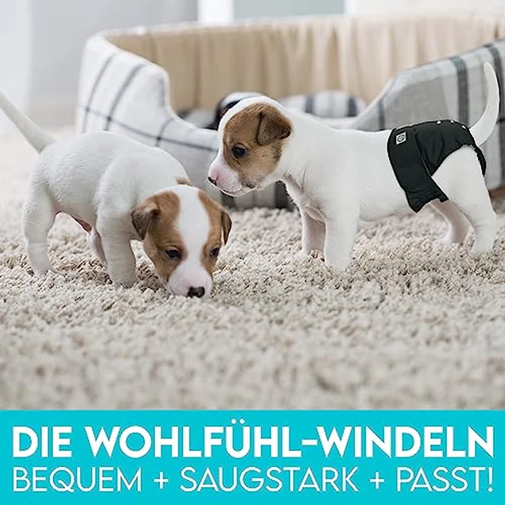HUND IST KÖNIG® Hundewindeln für Hündinnen [3 STK] Saugstarke Läufigkeitshose für Hündinnen 3-Fach justierbar für festen Sitz - Hunde Windeln bei Läufigkeit & Inkontinenz – Bild 2