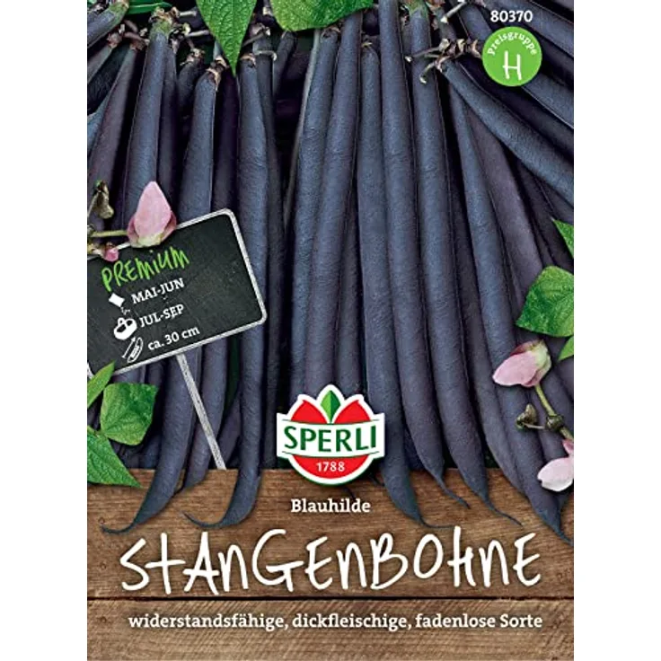 Sperli Stangenbohne Blauhilde, fadenlos sehr ertragreich virusresistent und widerstandsfähig