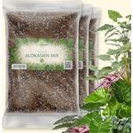 OraGarden Alokasien Alocasia Erde für Zimmerpflanzen - Premium Qualität (9L)