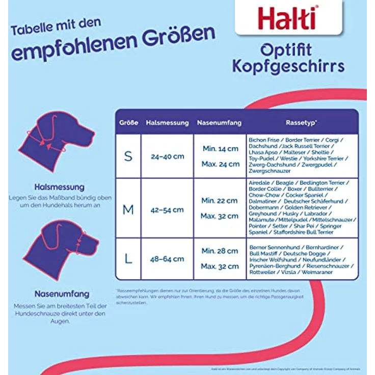 Company of Animals Halti Optifit Halsband, Halsband + Leine – Bild 3