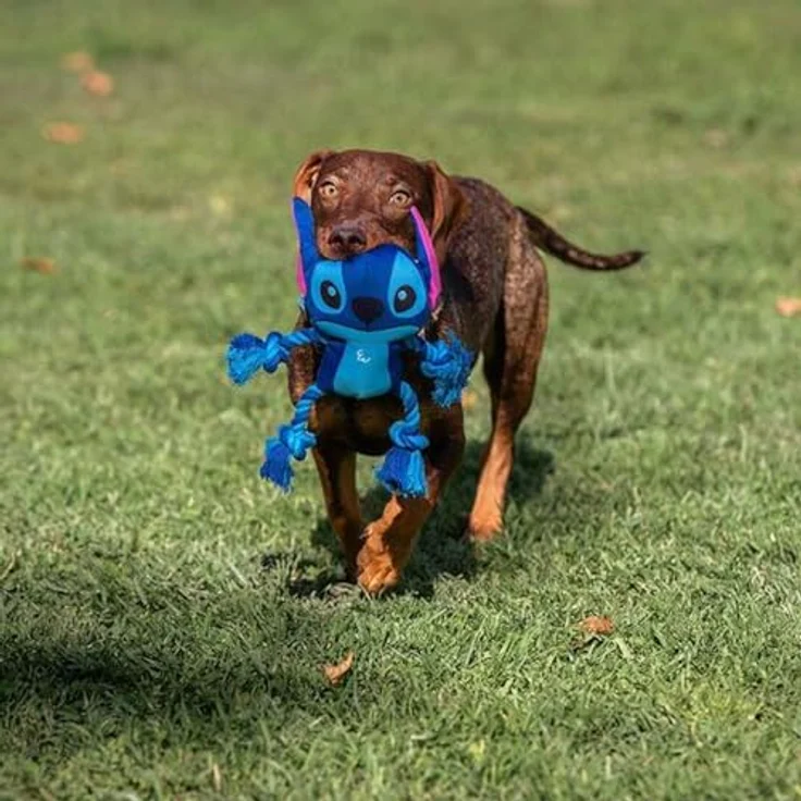Cerda Outdoor-Spielzeug Disney Stitch, robustes Hundespielzeug aus Polyester für gesunde Zähne und Zahnfleisch – Bild 6