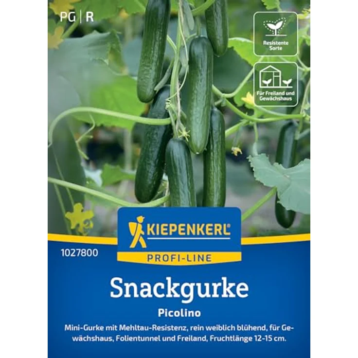 Kiepenkerl Profi-Line Saatgut Gurke Picolino, F1-Hybride mit bitterfreien, dunkelgrünen Früchten, 12-13 cm, resistent gegen Krankheiten – Bild 1