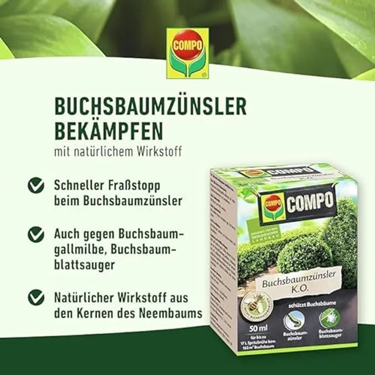 COMPO Buchsbaumzünsler K.O 50 ml – Bild 4