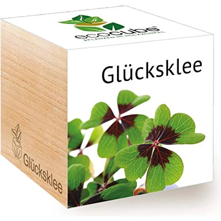 Feel Green Glücksklee, Anzuchtset im natürlichen Holzwürfel, Made in Austria – Bild 1