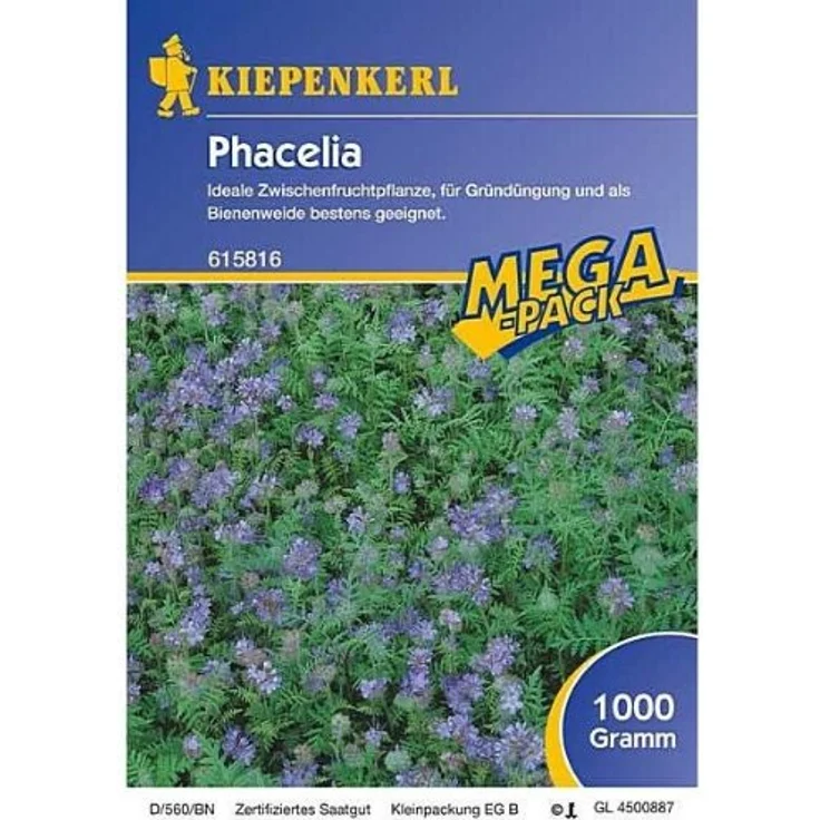 KIEPENKERL Phacelia (1 kg) | Phaceliasamen – Bild 2