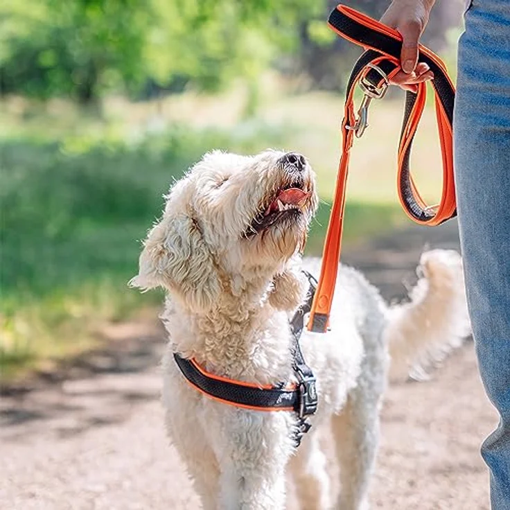 Nobby Norwegergeschirr Mesh Preno, grau L: 60-76 cm + 46 cm, B: 25/35 mm, 1 Stück – Bild 4