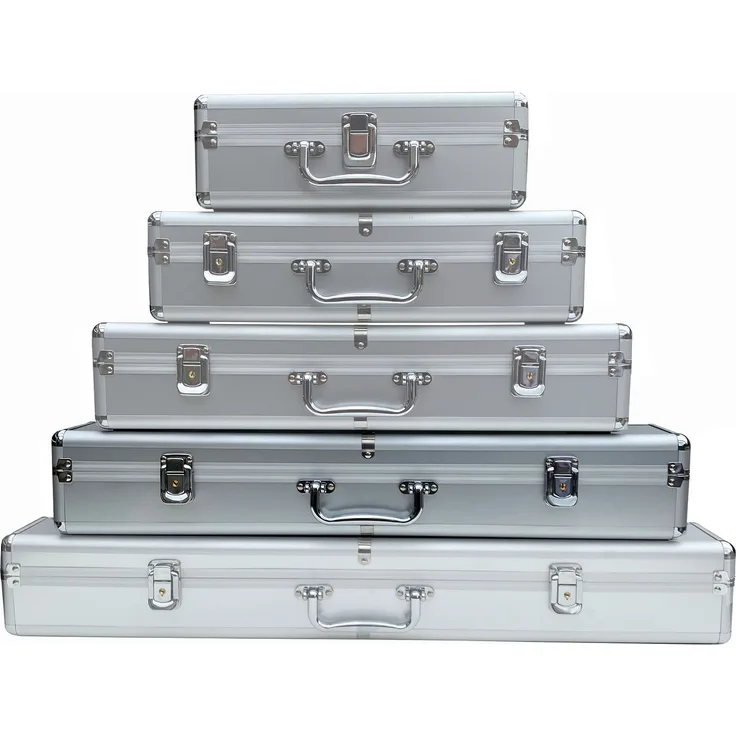 ECI Aluminium Koffer Instrumentenkoffer Flötenkoffer (LxBxH) 60 x 10 x 10 cm Messinstrumente Aufbewahrung