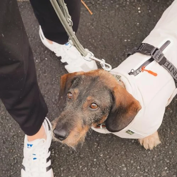 Hunter Tierbedarf Hundemantel Hundemantel Nordby Dachshund creme – Bild 2