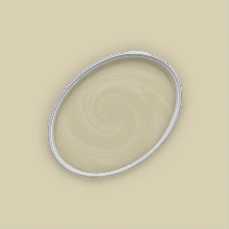 A.S. Création The Color Kitchen Wand- und Deckenfarbe Grün "Natural Mate", 5 l, matte Innenfarbe mit hervorragender Deckkraft und spritzarm
