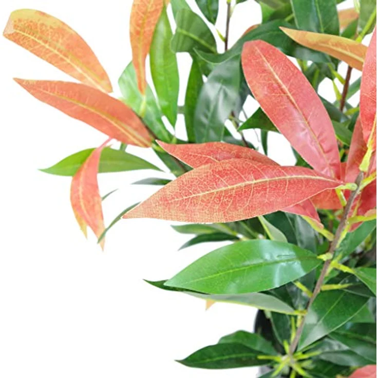 Leaf Ficus-Pflanze, Schwarz LEAF-7232 80cm red grün – Bild 3