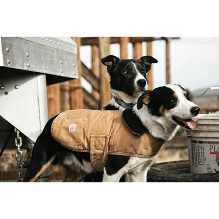 Carhartt Chore Hundemantel für Hunde, M, wasserabweisender Baumwoll-Canvas, gefüttert mit Nylon und Polyester, anpassbare Passform – Bild 6