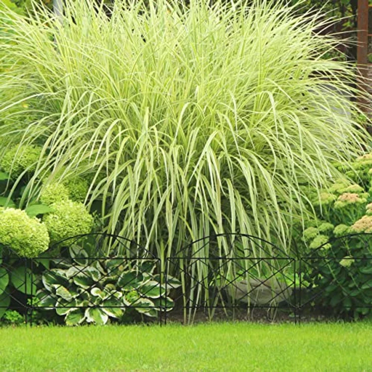 relaxdays Beetbegrenzung 6-tlg. Beetzaun aus Metall, Vintage-Look, Schwarz - Preisvergleich – Bild 2