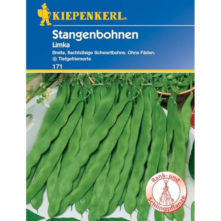Kiepenkerl Stangenbohnen Limka flachhülsig – Bild 2