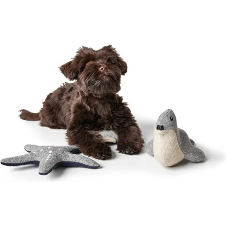 Hunter Skagen Dog Toy Starfish Colour Size 20 cm – Bild 5