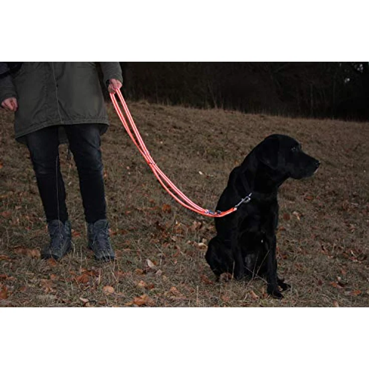 Activity4Dogs Hundeleine für große Hunde, reflektierend Signal-orange, 3-fach verstellbar, 2m lang, Made in Germany – Bild 2