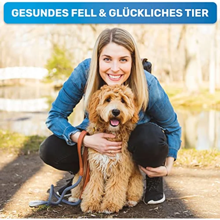 BluePet GlanzTanz Fellentwirrer Entfilzer für Langhaar Hunde und Katzen - Hochwertiger Hundestriegel mit zwei Reihen Pins - Löst Knoten & Verfilzungen - Glättet & Entwirrt das Deckhaar (Blau) – Bild 4