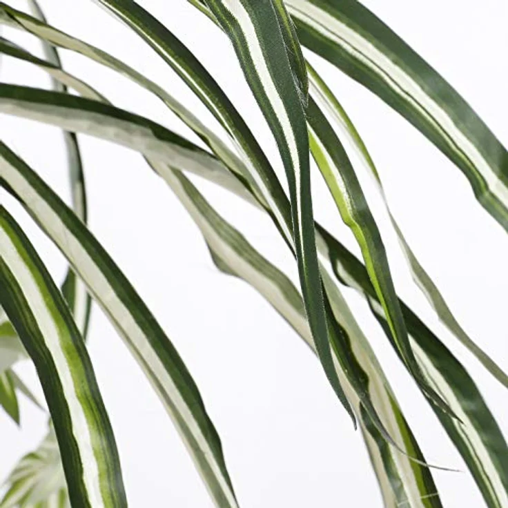 Mica Decorations Kunstpflanze Mica Chlorophytum im Topf grün, 45 x 45 cm, detailgetreue Nachbildung, sofort einsatzbereit - Preisvergleich – Bild 3