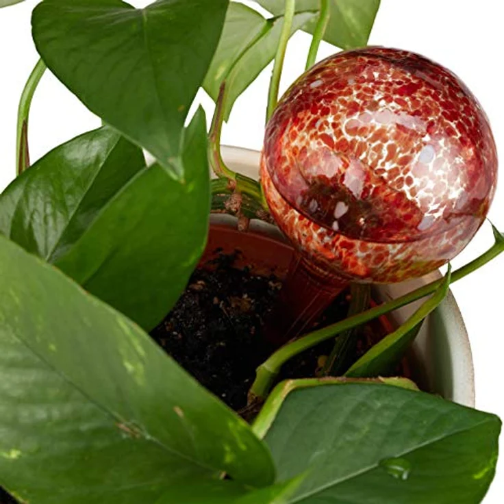 Bewässerungskugel 2er Set, dosierte Bewässerung Pflanzen u. Blumen, Gießhilfe Büro, Urlaub, Ø 6 cm, Glas, rot – Bild 3