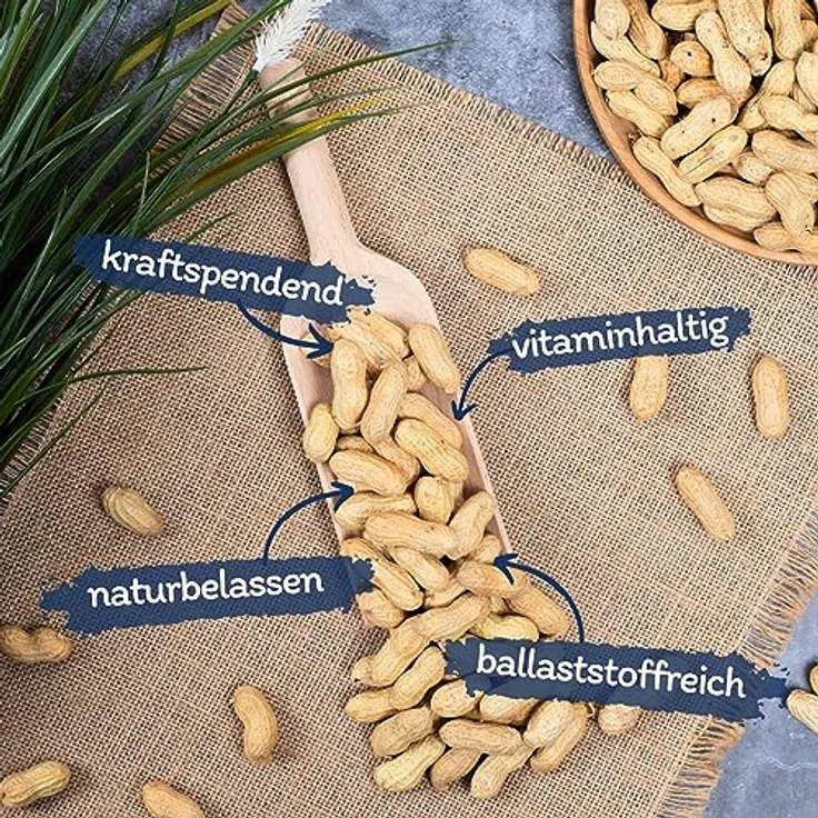 Lyra Pet® | 10 kg Erdnusskerne in Schoten | Wildvogelfutter Ganzjährig | Naturbelassene Erdnüsse in Schale | Reich an Fetten & Ballaststoffen | Energiereiches Futter für Wildvögel & andere Wildtiere – Bild 2