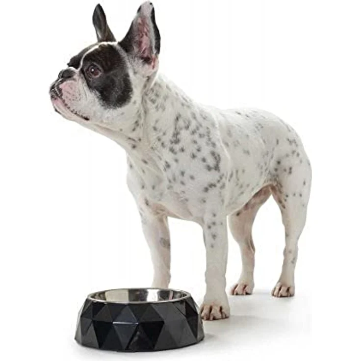 HUNTER KIMBERLEY Melamin-Napf, Futternapf, Trinknapf, für Hunde und Katzen, mit Edelstahlnapf, 700 ml, schwarz – Bild 3