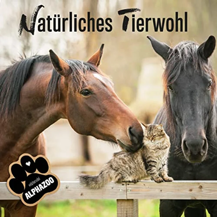 ALPHAZOO Brandlöscher Juckreiz Spray, 200 ml für Hunde, Katzen und Welpen, bei Juckreiz, trockener Haut, Pilzen & Milben, mit Kamille und Ringelblume – Bild 6