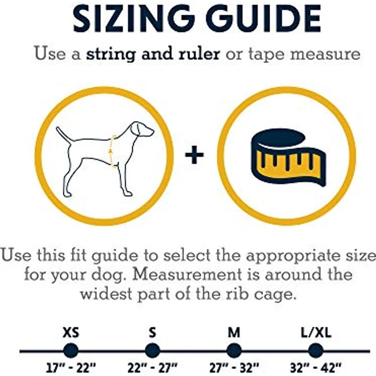 Ruffwear Rucksack Front Range XS, Blue Moon, mit gepolstertem Geschirr und drei Leinenbefestigungspunkten – Bild 2
