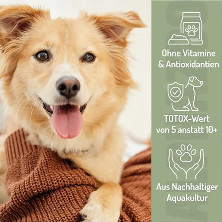 ALPHAZOO Premium Lachsöl für Hunde, 100 ml, mit Omega-3-Fettsäuren, natürliches Fischöl zur Unterstützung von Haut und Fell – Bild 5