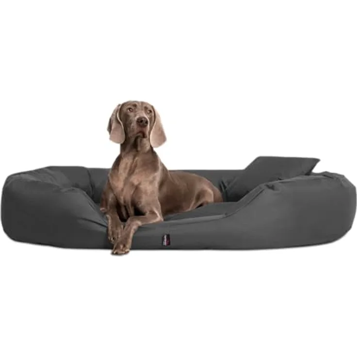 tierlando Orthopädisches Hundebett Sammy - Robuster Polyester - Gr. L - XXXXL Hundesofa Hundekörbchen waschbar 170 cm Graphit Grau