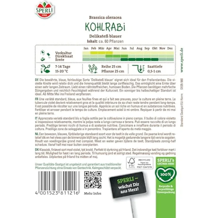 Sperli Kohlrabi Delikateß blauer – Bild 3