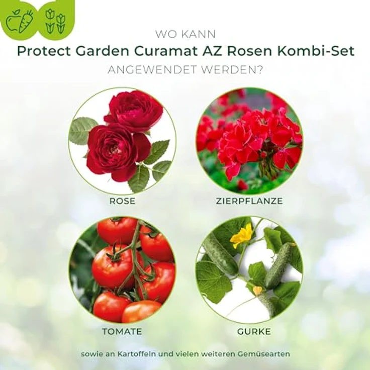 PROTECT GARDEN Curamat AZ Rosen Kombi-Set, 2 in 1 Rundum-Schutz vor Pilzkrankheiten und Insektenbefall, 2 x 4 ml + 15 ml Konzentrat, Gelb – Bild 3