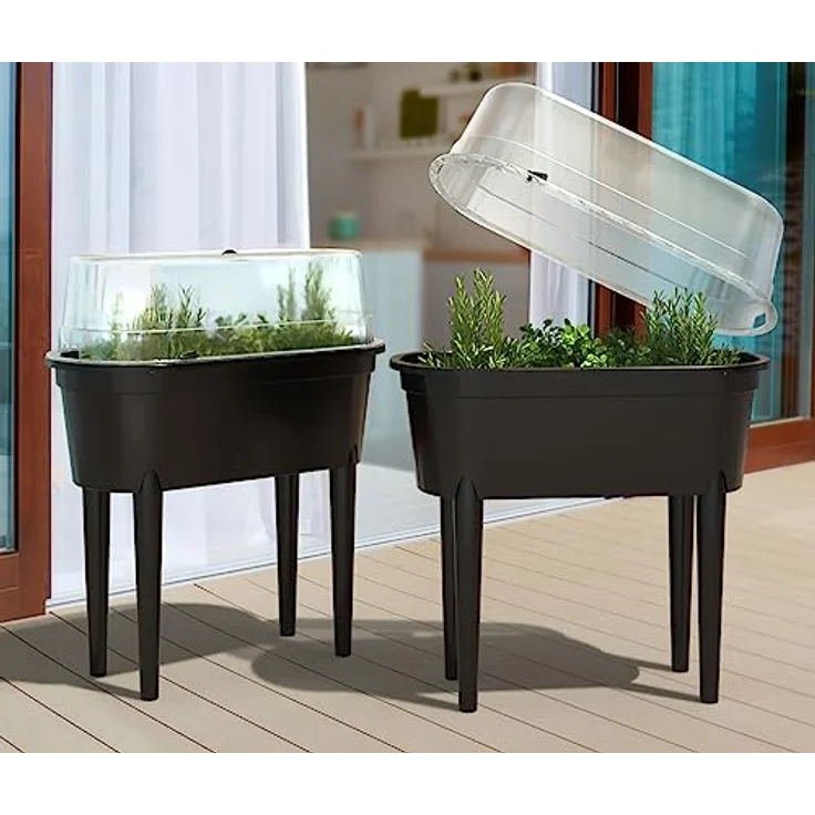 XXL XL Hochbeet mit Deckel Gewächshaus Frühbeet Kräuterbeet Treibhaus Pflanzkasten Pflanzenbeet Pflanzenkübel Gemüse Blumenkasten Garten Gemüsebeet Blumentopf Tomatenhaus (2X 79cm (Set)) – Bild 1