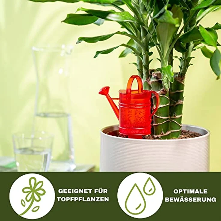 Scheurich Wasserspeicher 110 ml, Gießkanne für Innen und Außen mit wasserdurchlässigem Tonkegel – Bild 3