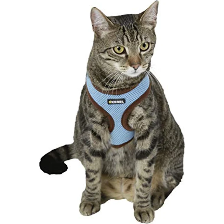Kerbl Katzengeschirr Active blau (inkl. Leine 120 cm, Material Mesh, Geschirr mit Klickverschluss, Halsumfang 28 cm/Bauchumfang 34-44 cm) – Bild 3
