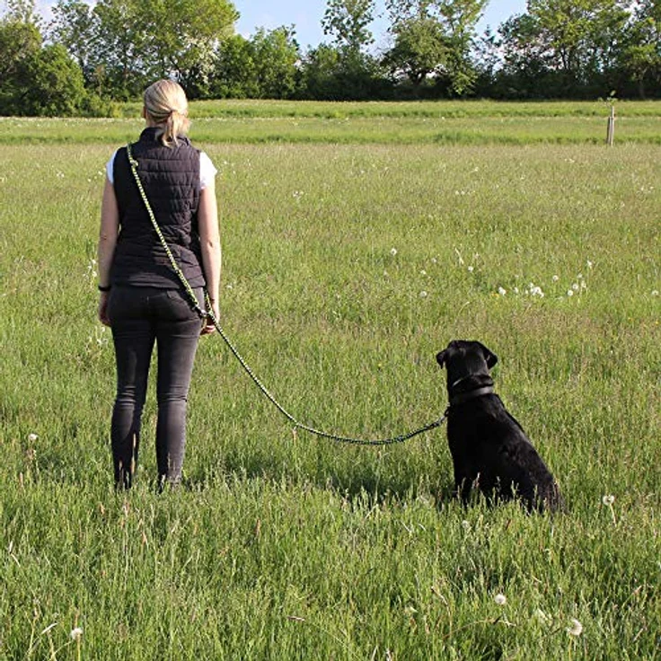 Activity4Dogs Geflochtene Hundeleine, 4-fach verstellbar, 2,80 m, Ø 15 mm, grün-schwarz-weiß, für große Hunde, Made in Germany – Bild 2