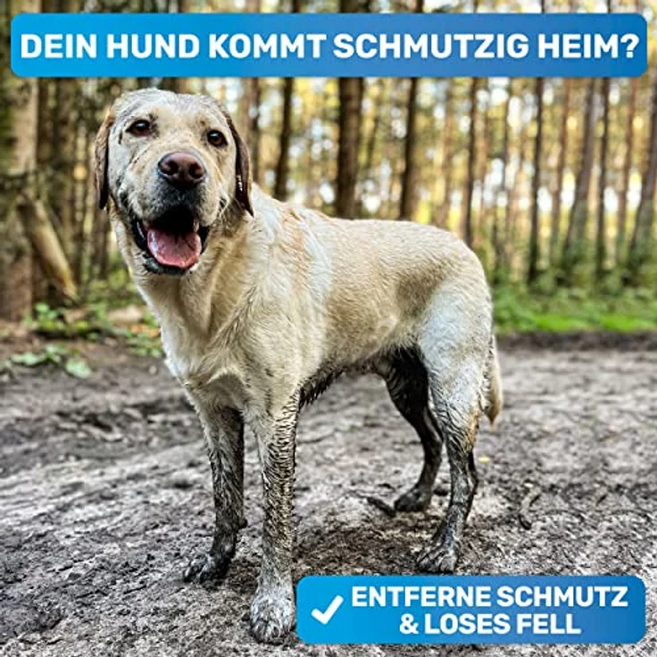 BluePet FellFein Badebürste Gummistriegel Für Kurzhaar Hunde & Katzen mit Massageeffekt - Entfernt Loses Deckhaar, Staub & Schmutz - Idealer Badestriegel Zum Einmassieren von Hundeshampoo – Bild 2